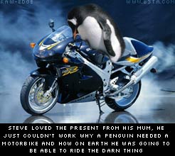 steve the penguin and his motorbike