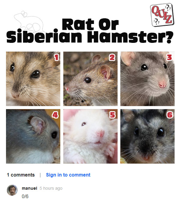 Answer: 1, 4 and 6 are hamsters