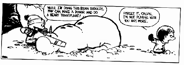 Calvin & Hobbes snowman surgery