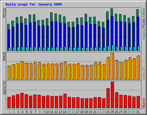 Daily usage for January 2005
