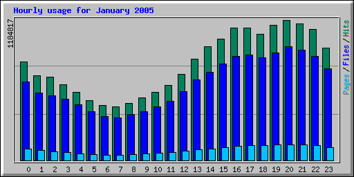 Hourly usage for January 2005